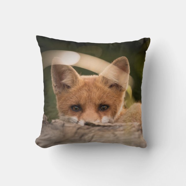 Photo of a Cute Little Orange Fox Cushion (Front)