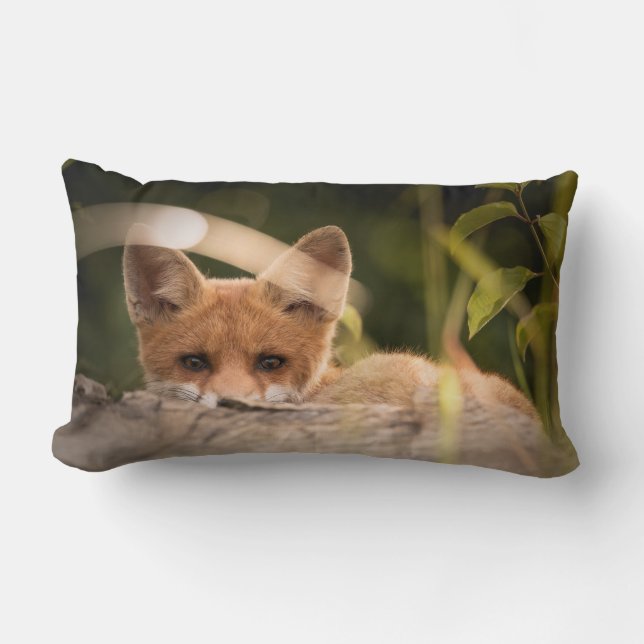  Photo of a Cute Little Orange Fox Lumbar Cushion (Front)