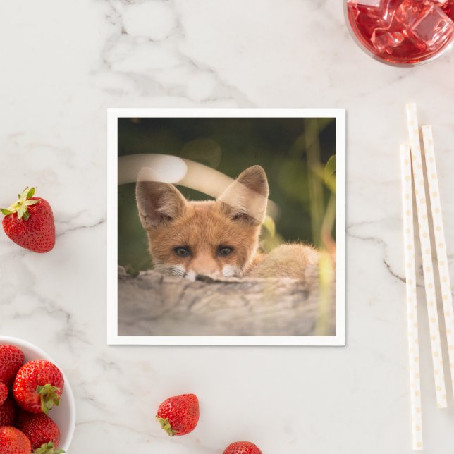 Photo of a Cute Little Orange Fox Napkin (Insitu)