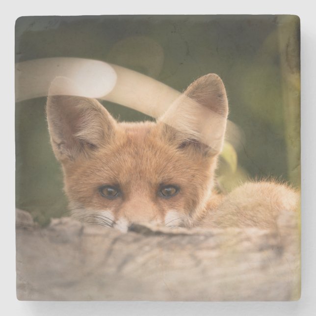 Photo of a Cute Little Orange Fox Stone Coaster (Front)