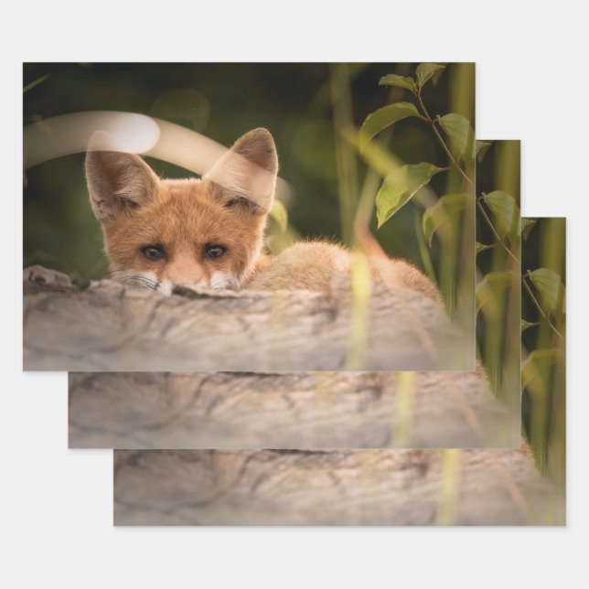 Photo of a Cute Little Orange Fox Wrapping Paper Sheet (Set)