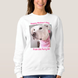Photo of a Cute White Puppy Dog With Soulful Eyes Sweatshirt