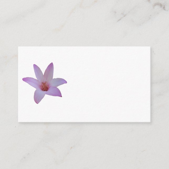 Photo of a delicate pink rain lily on an enclosure card (Front)