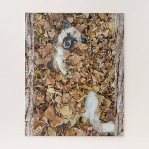 Photo of a dog in the leaves. jigsaw puzzle