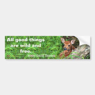 Photo of a fawn and a quote by Thoreau - Bumper Sticker