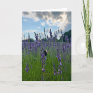 Photo of a Flower from New England Blank Greeting Card