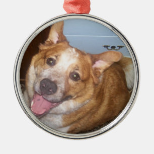 Photo of a Happy Dog Metal Tree Decoration