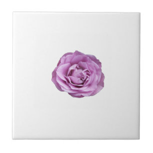 Photo of a lavender coloured rose on a tile