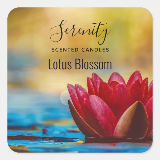 Photo of a Lotus Flower in a Pond Candle Biz Square Sticker (Front)