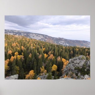 photo of a mountainous autumn forest, mountains, p poster