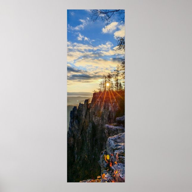 photo of a mountainous autumn forest, mountains, p poster (Front)