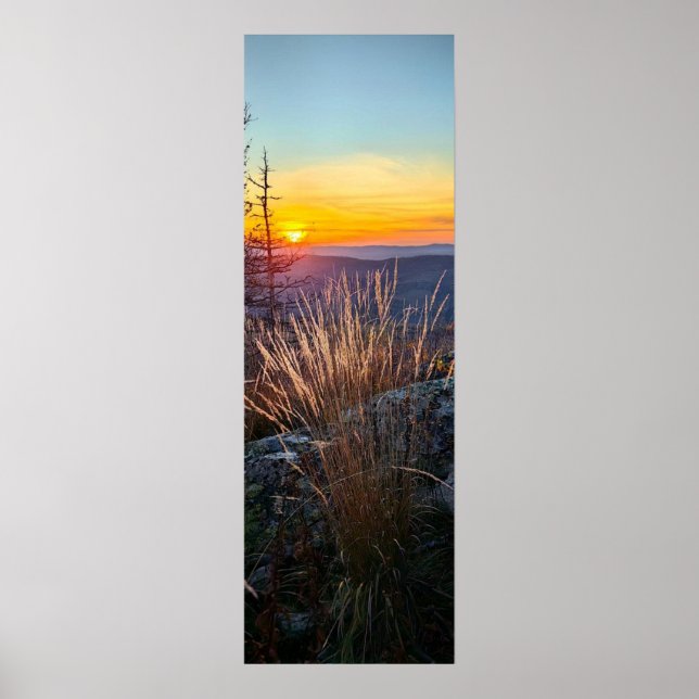 photo of a mountainous autumn forest, mountains, p poster (Front)