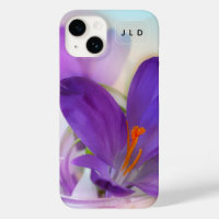 Photo of a Pretty Purple Spring Crocus