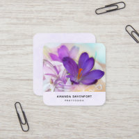 Photo of a Pretty Purple Spring Crocus