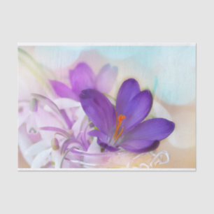 Photo of a Pretty Purple Spring Crocus Tissue Paper