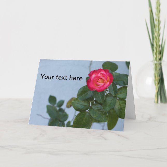 Photo of a Rose against a grey wall on a note card (Front)