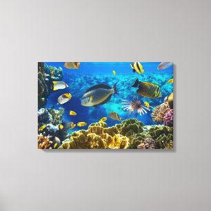 Photo of a tropical Fish on a coral reef Canvas Print