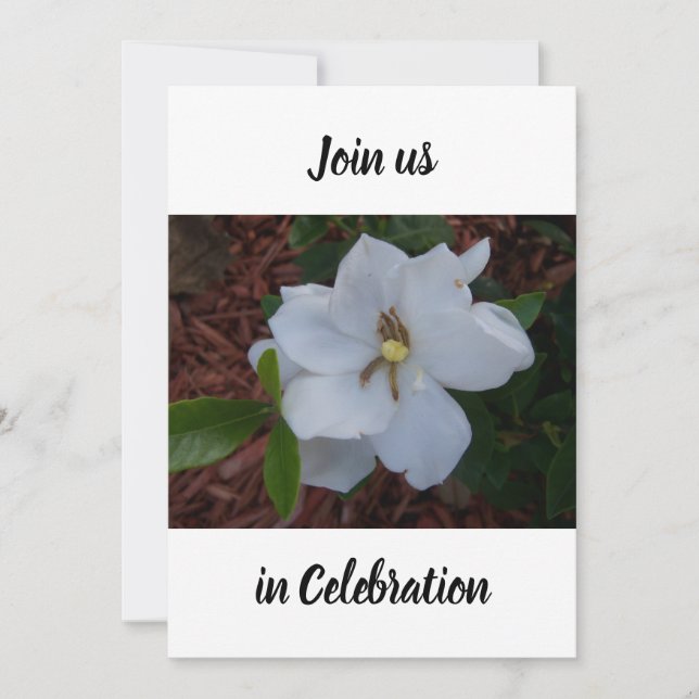 Photo of a white gardenia blossom up close on an invitation (Front)