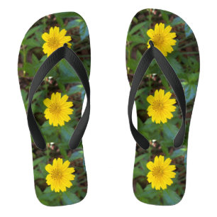 Photo of a yellow trailing daisy on flip flops