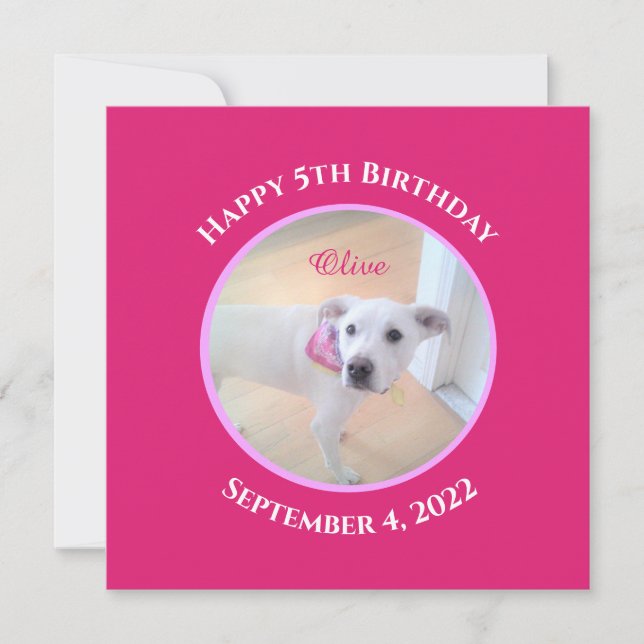 Photo of Adorable Puppy Dog Wearing Hot Pink Scarf Invitation (Front)