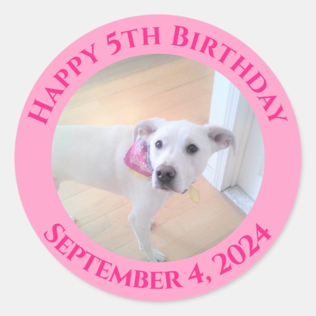 Photo of Adorable Puppy Dog Wearing Scarf Birthday Classic Round Sticker (Front)