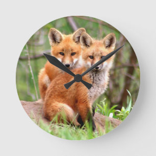 Photo of adorable red fox kits sitting together round clock
