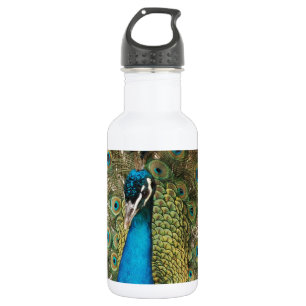 Photo of Beautiful Peacock with Spread Feathers 532 Ml Water Bottle