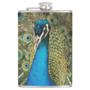 Photo of Beautiful Peacock with Spread Feathers Hip Flask