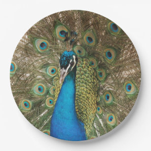 Photo of Beautiful Peacock with Spread Feathers Paper Plate