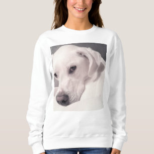 Photo of Beautiful Regal White Dog Sweatshirt
