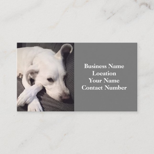 Photo of Beautiful White Dog Grey Business Card (Front)