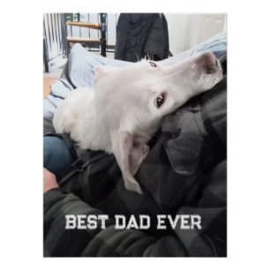 Photo of Beautiful White Dog with Dad Father's Day Poster