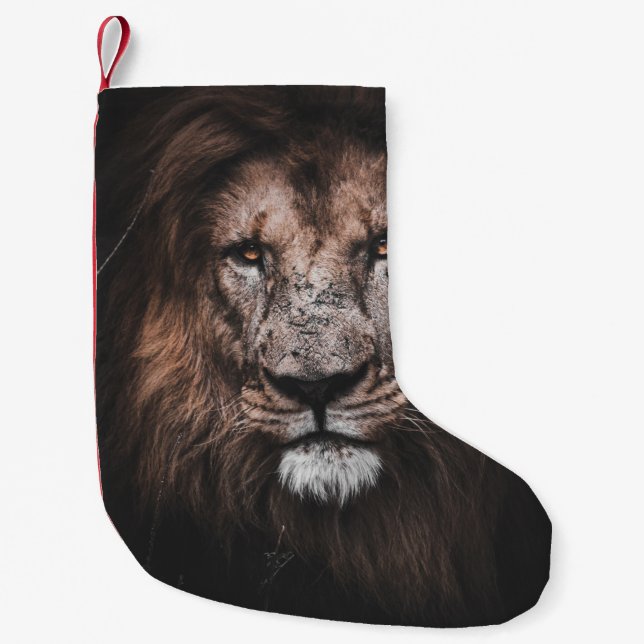 PHOTO OF BROWN LION SMALL CHRISTMAS STOCKING (Front)