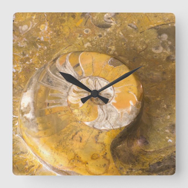 Photo of Carved Bowl Made of Fossils in Rock Square Wall Clock (Front)