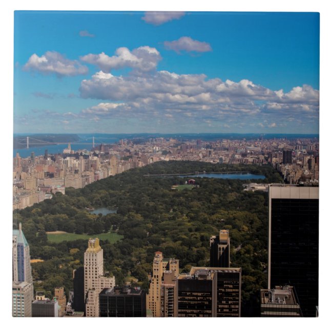 Photo of Central Park in New York City Tile (Front)