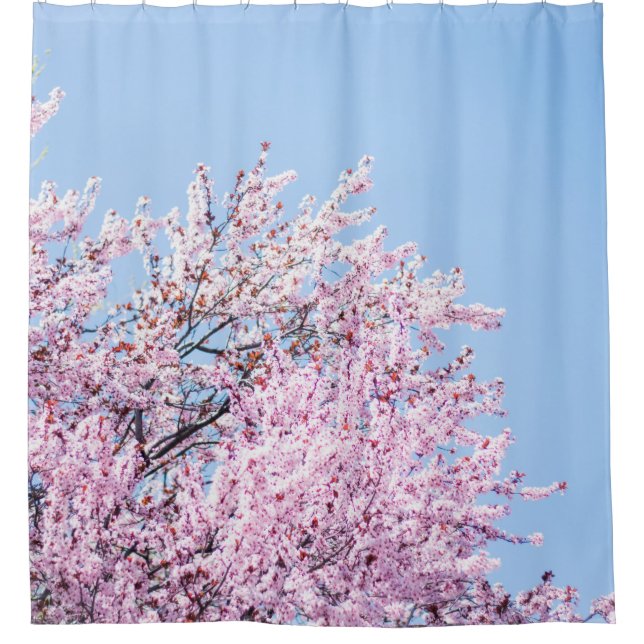 PHOTO OF CHERRY BLOSSOM TREE SHOWER CURTAIN (Front)