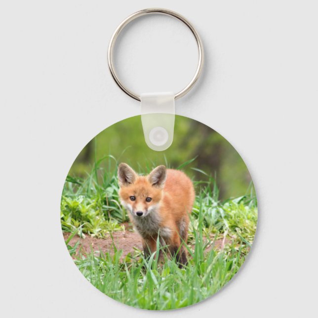 Photo of curious fox kit key ring (Front)