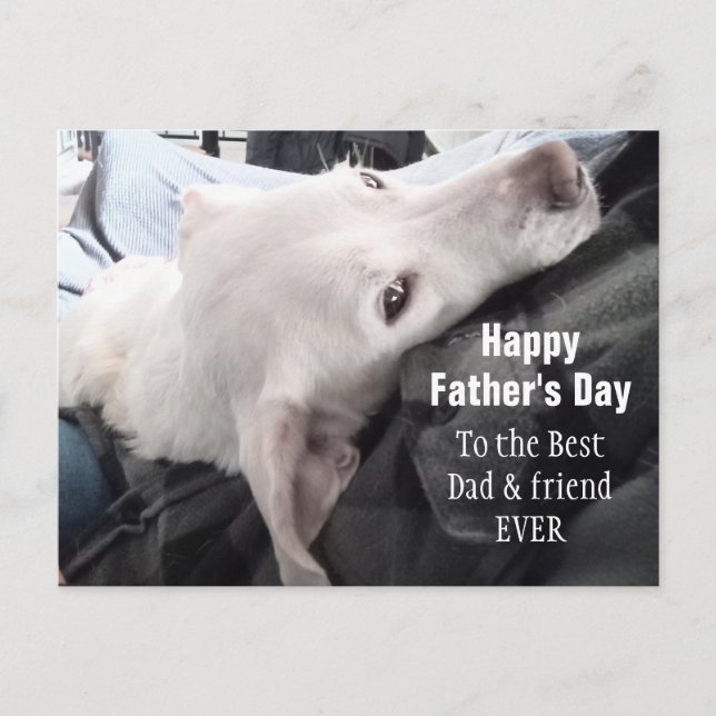 Photo of Cute Dog Best Dad and Friend Ever Postcard (Front)