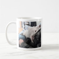 Photo of Cute Dog Best Dad and Pal Ever