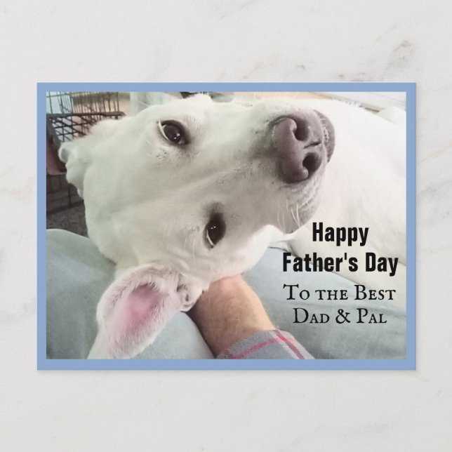 Photo of Cute Dog Best Dad Pal Ever Blue Denim Postcard (Front)