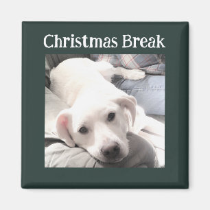 Photo of Cute Dog Christmas Break Green Magnet