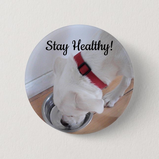 Photo of Cute Dog Drinking Water Motivational 6 Cm Round Badge (Front)