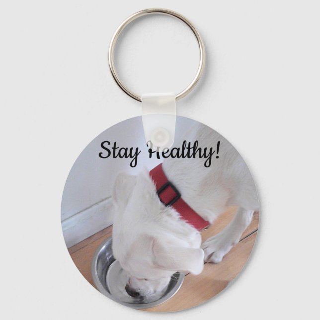 Photo of Cute Dog Drinking Water Motivational Keyc Key Ring (Front)