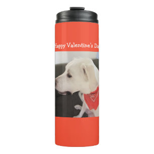 Photo of Cute Dog Profile Wearing Scarf Orange Thermal Tumbler