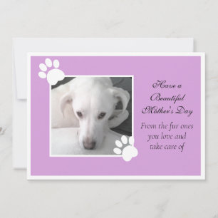 Photo of Cute Dog Purple Mother's Day Paw Frame Holiday Card