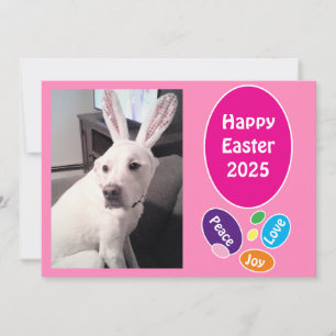 Photo of Cute Dog Wearing Bunny Ears Easter Eggs Holiday Card