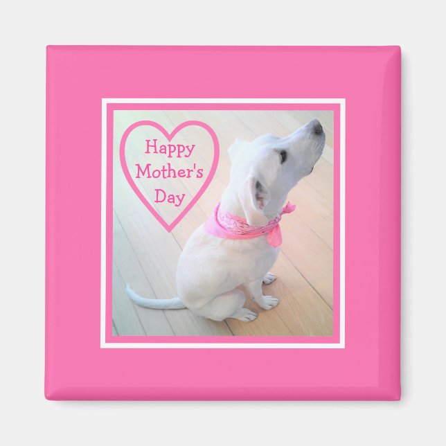 Photo of Cute Dog Wearing Pink Scarf Mother's Day Magnet (Front)