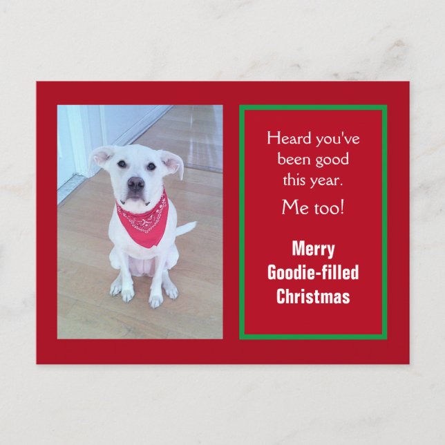 Photo of Cute Dog With Funny Sticking Out Ears Red Holiday Postcard (Front)