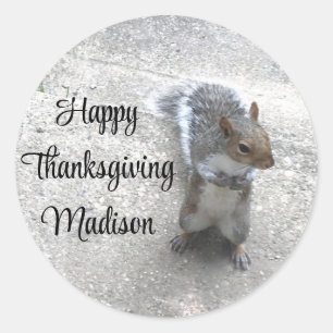 Photo of Cute Little Squirrel with Fluffy Tail Classic Round Sticker