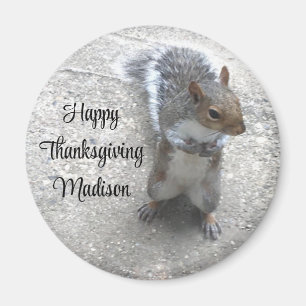 Photo of Cute Little Squirrel with Fluffy Tail Magnet